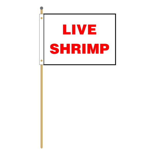 2' x 3' Custom Flag