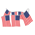 American Flag Pennants